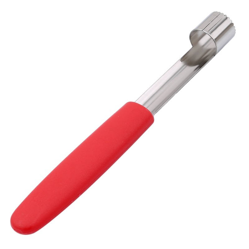 أداة إزالة بذور الفاكهة سهلة ا - مراجعة Kitchen Gadgets & Toys وسعره