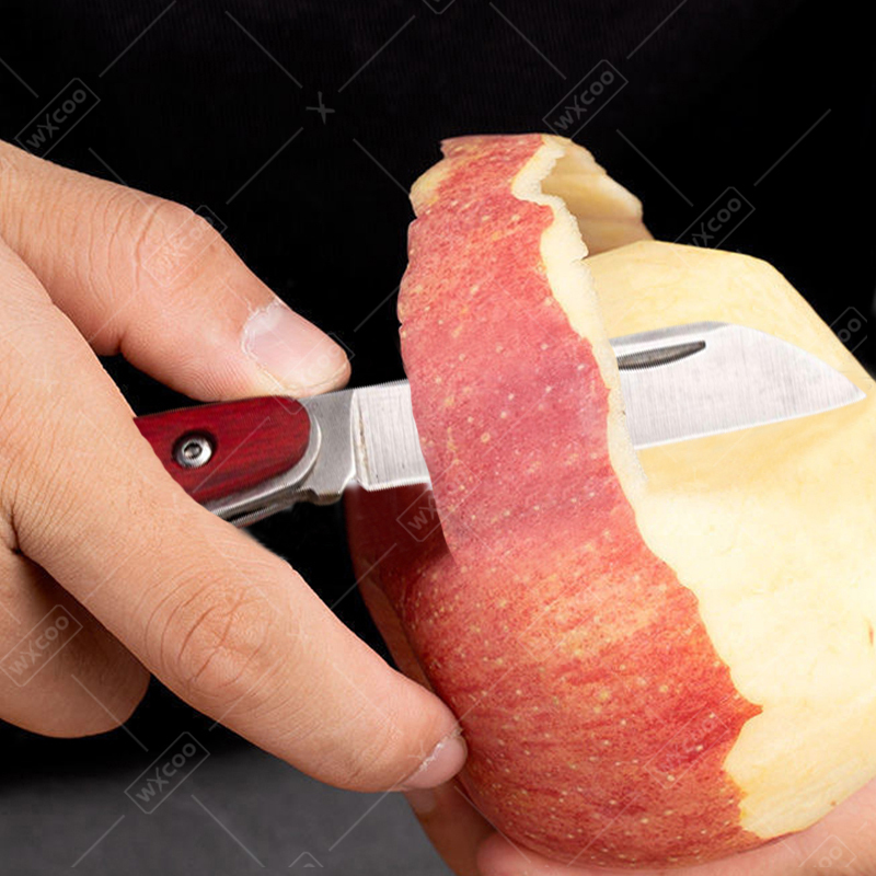 سكين جيب من الفولاذ المقاوم لل - مراجعة Kitchen Gadgets That Make Life Easier وسعره